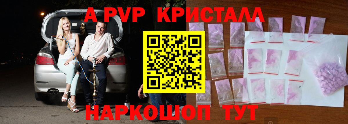 A PVP СК КРИС Гурьевск