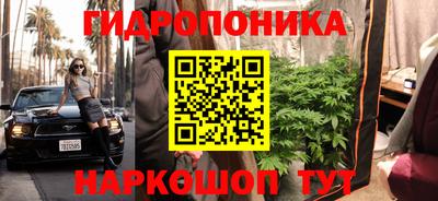 эйфоретик Малгобек