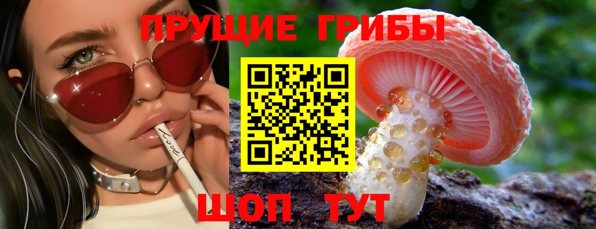 Галлюциногенные грибы MAGIC MUSHROOMS  Вход с VPN  Гурьевск  Галлюциногенные грибы мицелий 